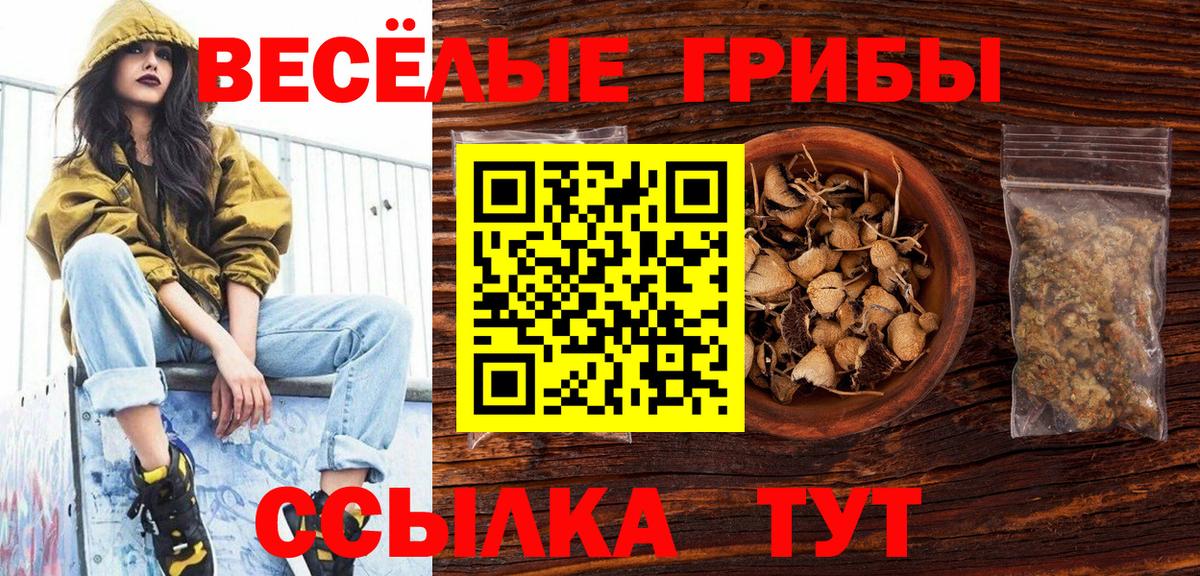 Псилоцибиновые грибы Psilocybine cubensis  Вход с VPN  Переславль-Залесский 